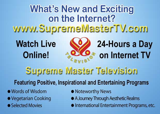 What&rsquo;s New and Exciting on the Internet? &ldquo;Supreme Master Television&rdquo;